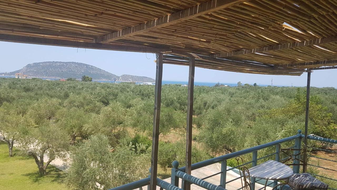 Megalos Kampos Marathopoli Luaran gambar